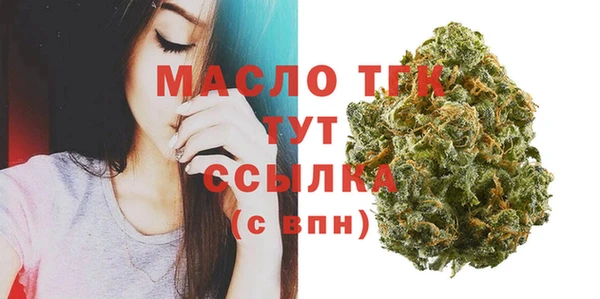 mix Инта